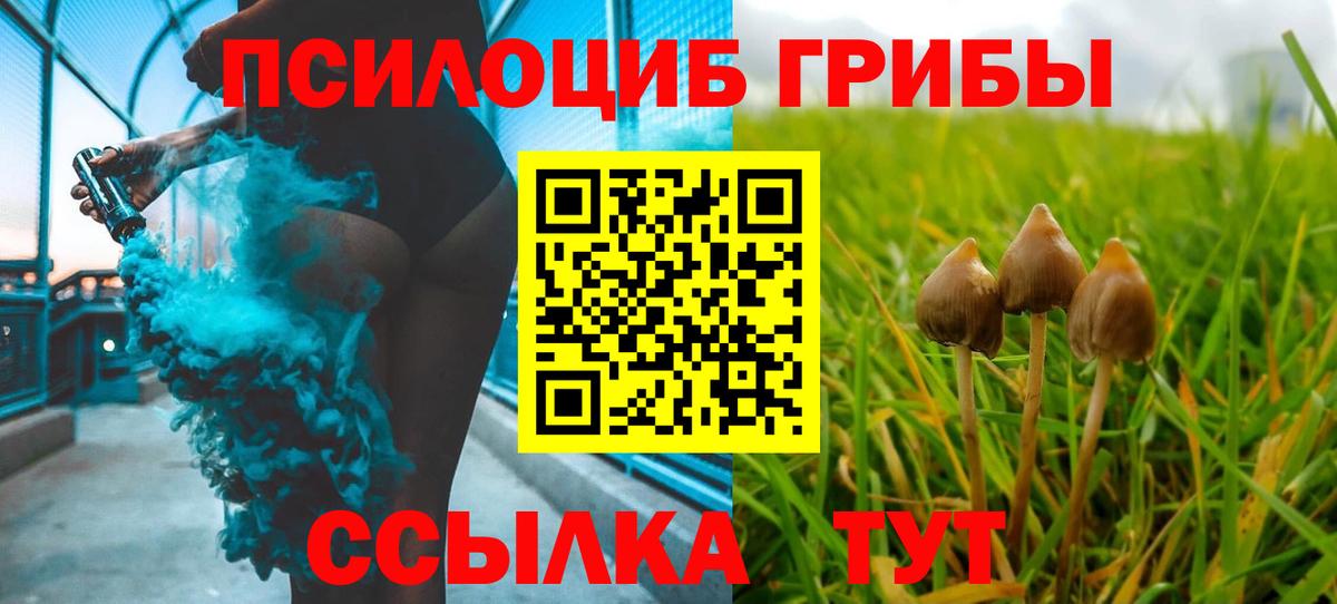 Кстово  Псилоцибиновые грибы GOLDEN TEACHER  Галлюциногенные грибы прущие грибы  где купить наркотик  Вход с VPN 